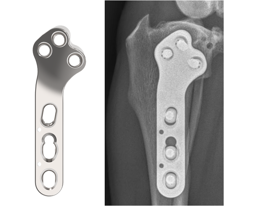 TPLOarc fig1