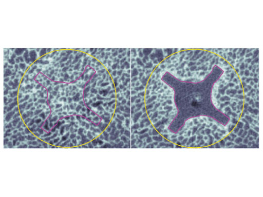 Dynamic_Hip_Screw_Blade_7