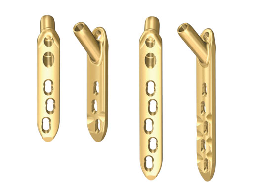 LCP_DHS_with_Collar_1