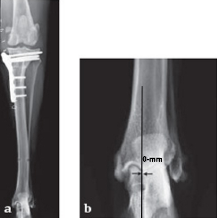 TPLOSystem_case1_Fig3ab