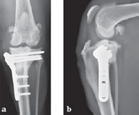 TPLOSystem_case1_Fig4ab