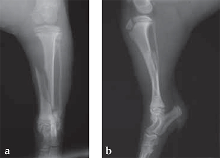 MiniLC-DCPandLCP_Fig3ab