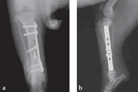 MiniLC-DCPandLCP_Fig4ab