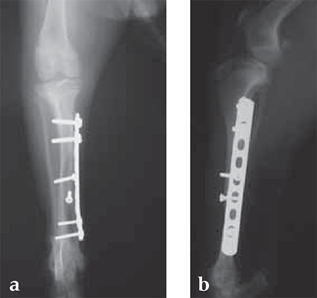 MiniLC-DCPandLCP_Fig5ab