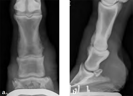 4-5mmLCPnarrowandbroad_Fig1ab