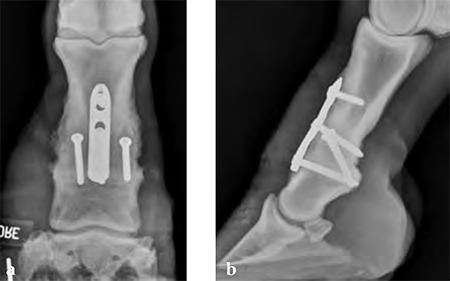4-5mmLCPnarrowandbroad_Fig4ab