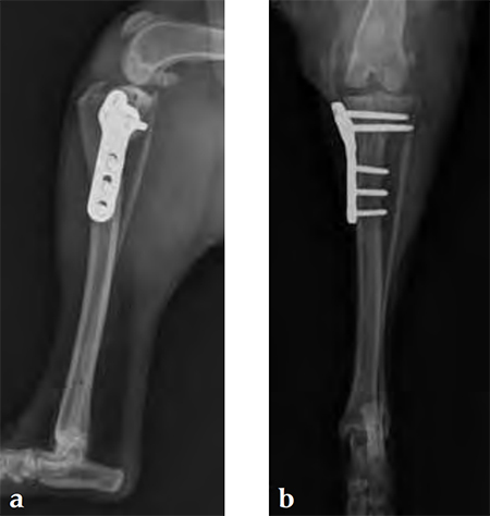 TPLO3-5mmSmallStature_Fig5ab