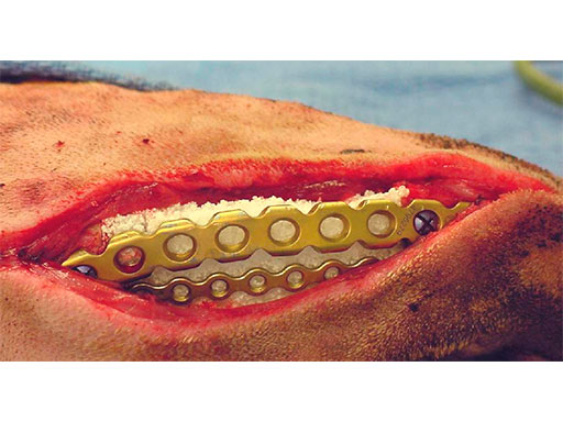 LockReconMiniPlate_fig4