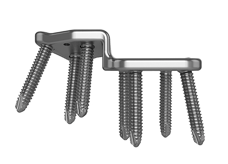 12668A_Canine_DPO_plate_angles_rt_hip_DV