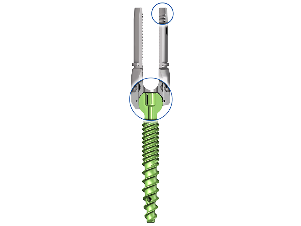 Expedium Verse System