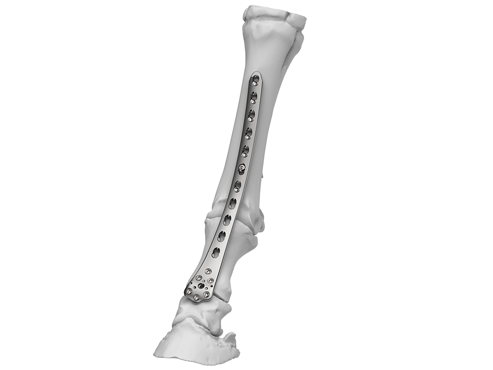 LCP DFP vet Thumbnail