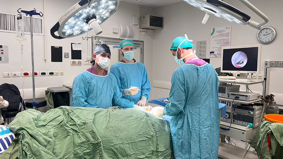 Navigating through my AO CMF Fellowship journey: A reflection of growth and impact