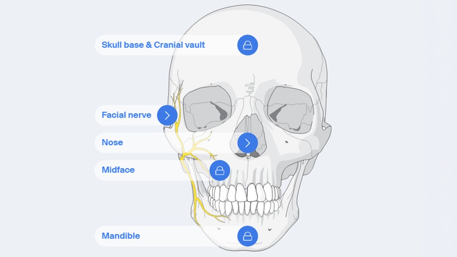 Ao Reference What precautions should be taken in revision surgery with refixation ...