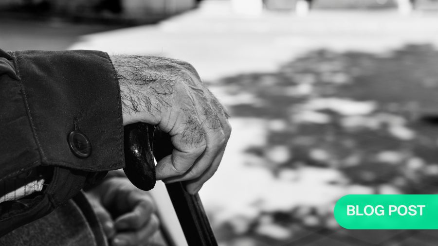 Ortho-geriatric co-management: transforming fracture treatment and prevention in older adults