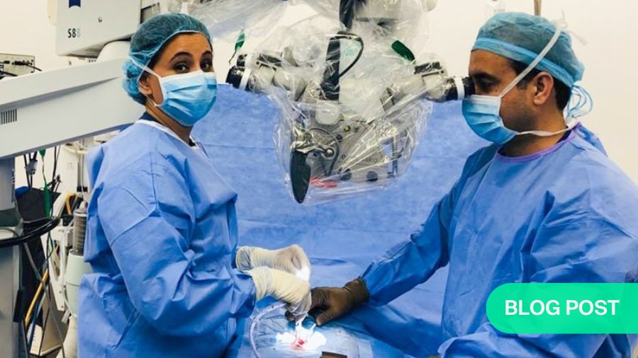 ‘We are all spine surgeons’