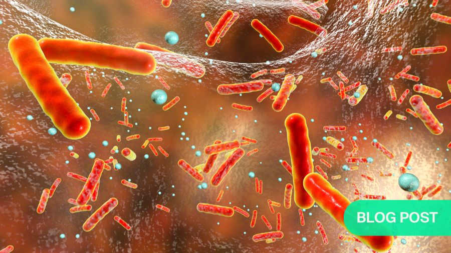 Connection Between Gut Health and Lumbar Degenerative Spondylolisthesis (LDS)