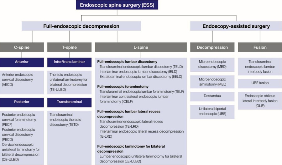 Beyond the portal wars: forging a new consensus in endoscopic spine surgery