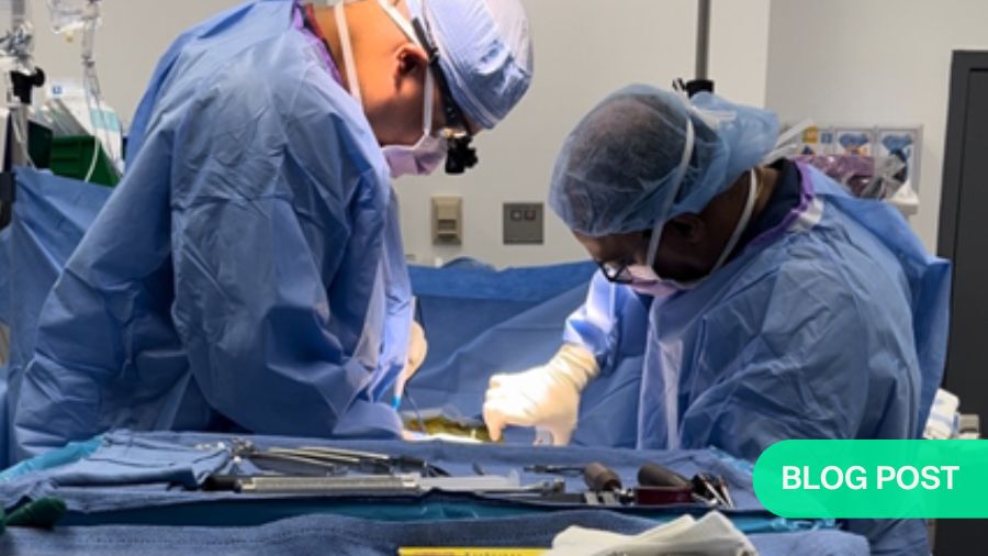 Awake Spinal Fusion—introducing the Rapid Recovery Spine Surgery protocol