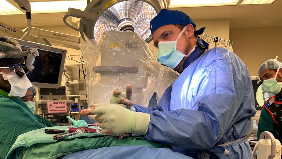 Five surgeons earn 2024 Luiz Vialle Awards for their contributions to spine research