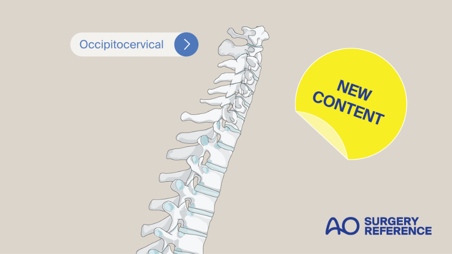 Ao Reference Upper cervical spine injury classification in the AO Surgery Reference ...