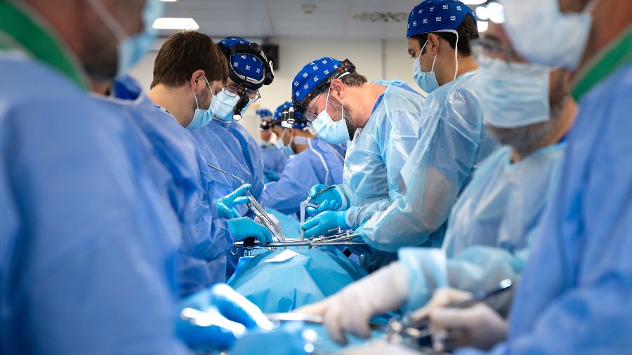 Hands-on AO Spine Minimally Invasive Spine surgery course