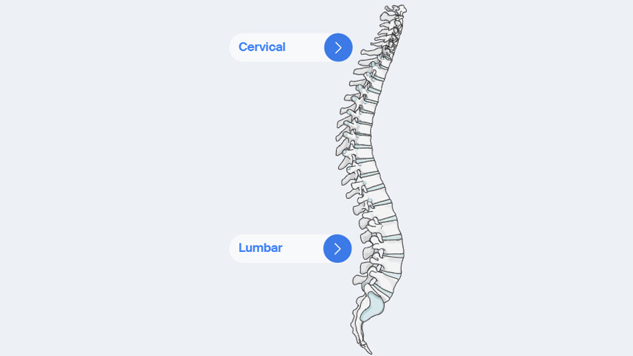 AO Surgical Reference Spine Degenerative