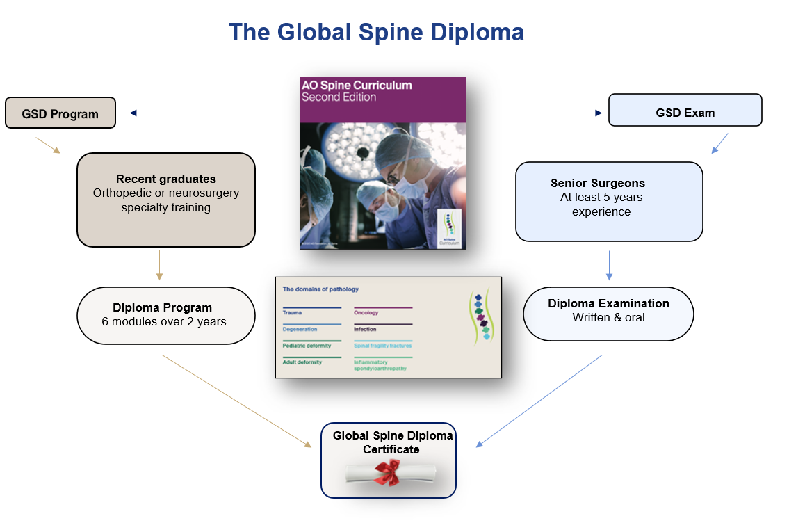 The Global Spine Diploma