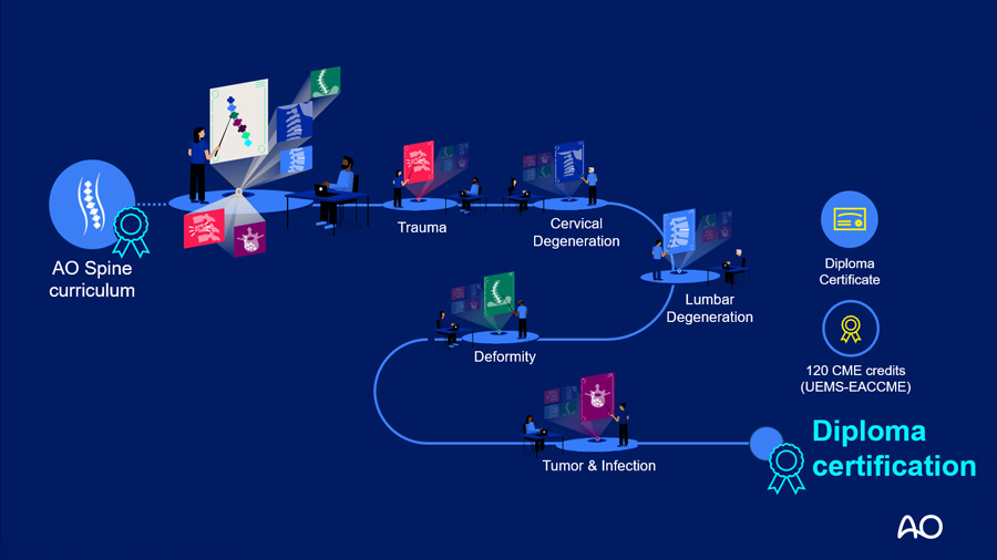 Global Spine Diploma Roadmap