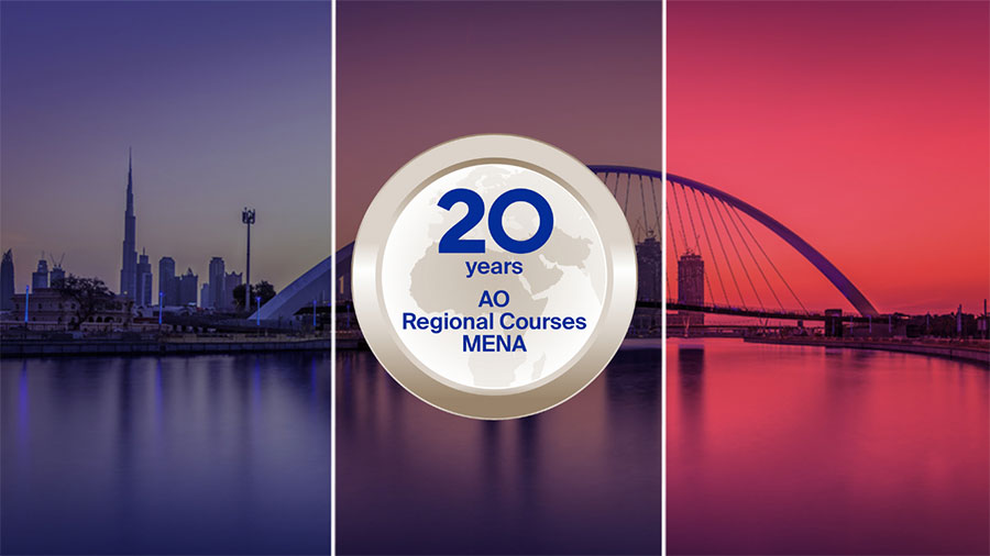 AO Regional Courses MENA 2024