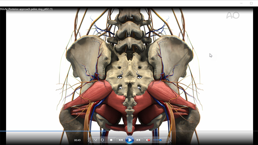 New resources for faculty and chairpersons of the AO Trauma Course—Pelvic and Acetabular Fracture Management