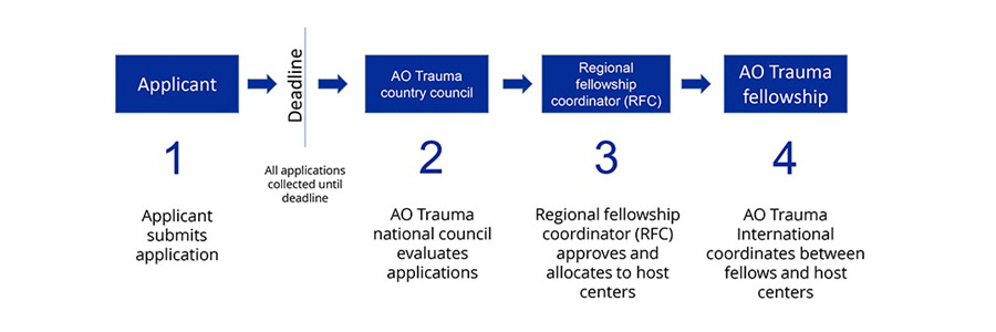 Fellowship selection criteria