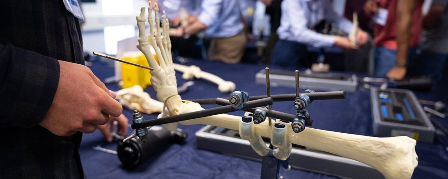 AO Trauma BeLux Advanced Course