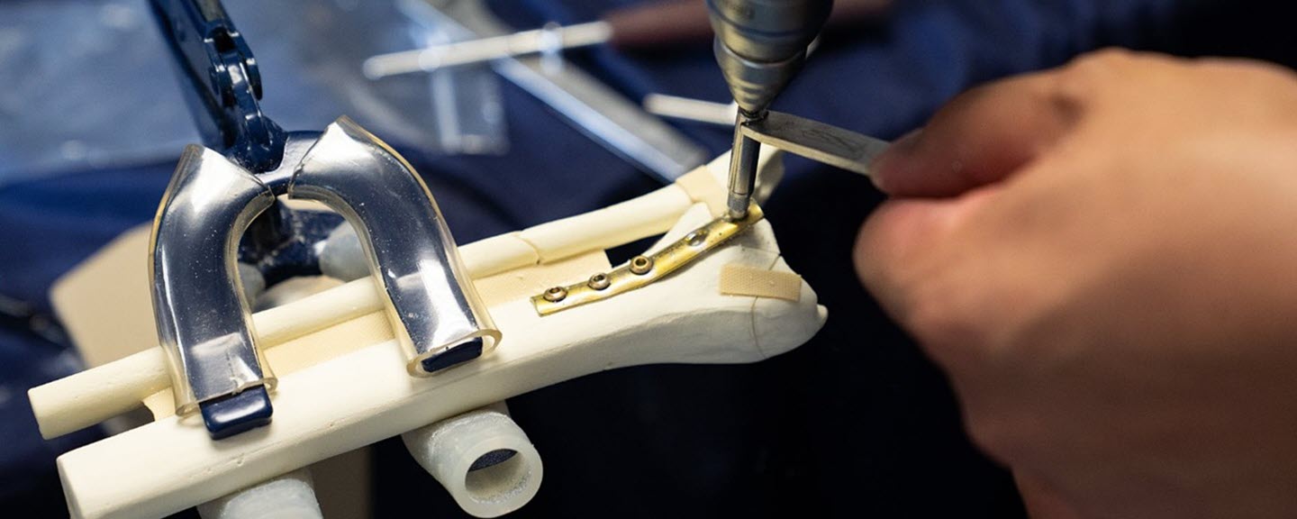 AO Trauma Belux - Basic Principles of Fracture Management course