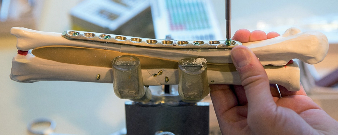 AO Trauma Belux Principes de base du Traitment des Fractures Cours