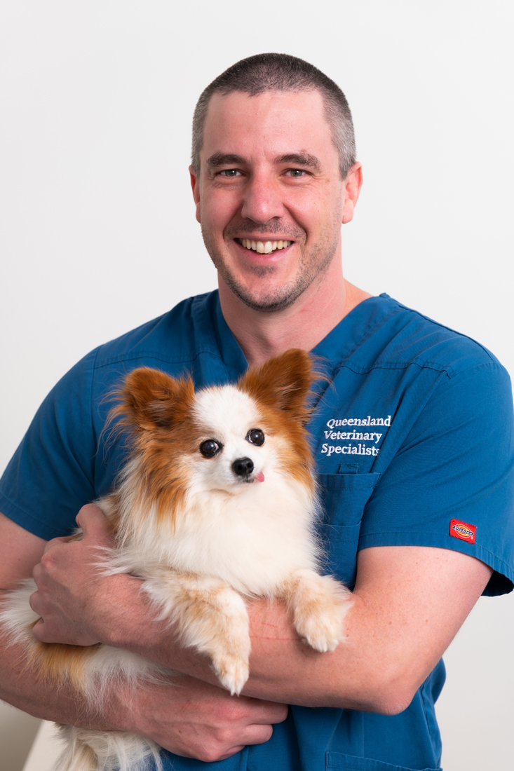 2024_10-Blog_Beierer_Toy_breed