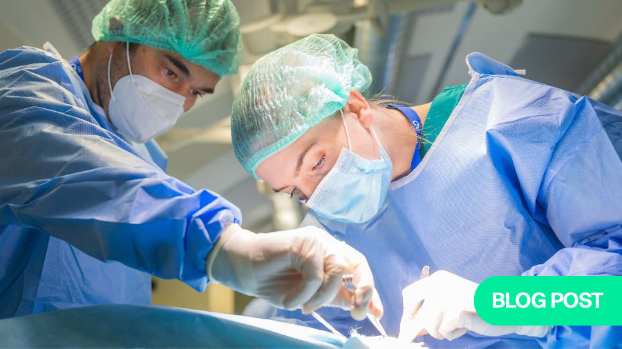 The veterinary implant I use is 316L stainless steel—is it good enough?