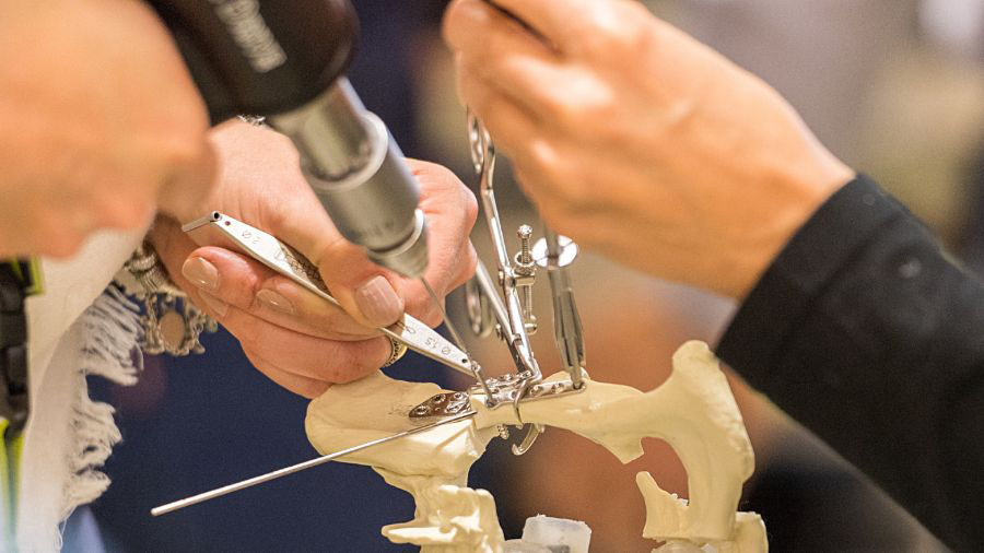 Implant placement training at AO VET course