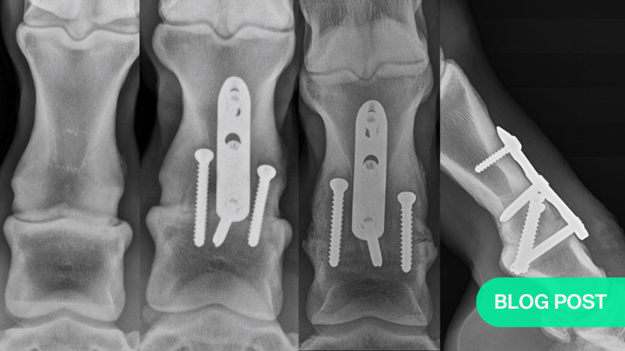 Pastern Arthrodesis in the horse: Current controversies