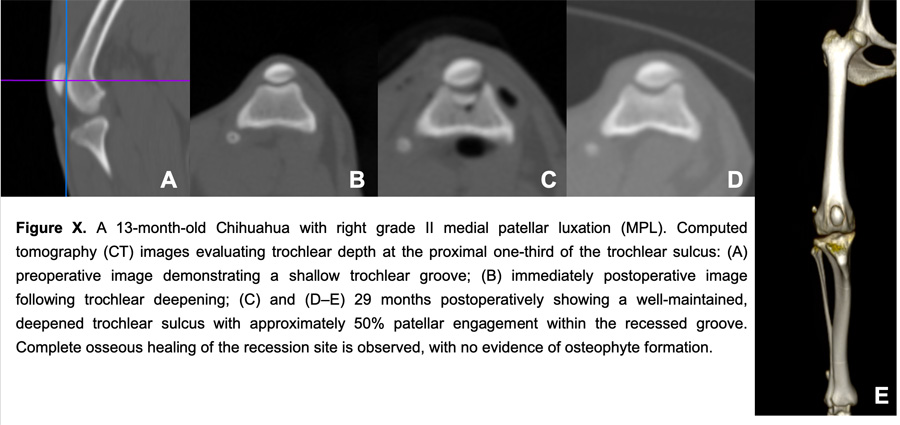 Comprehensive patellar luxation in humans, horses, and dogs