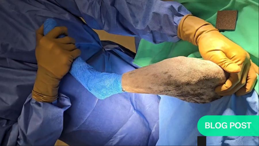 Dog tibial fracture x-ray medial view