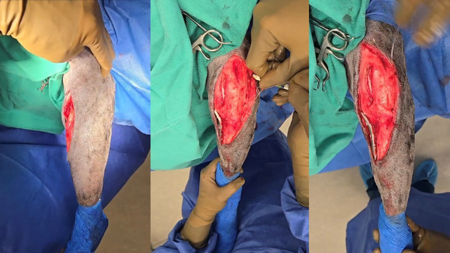 Three photos for lateral suture stabilization to TPLO in dogs with severe rotational instability