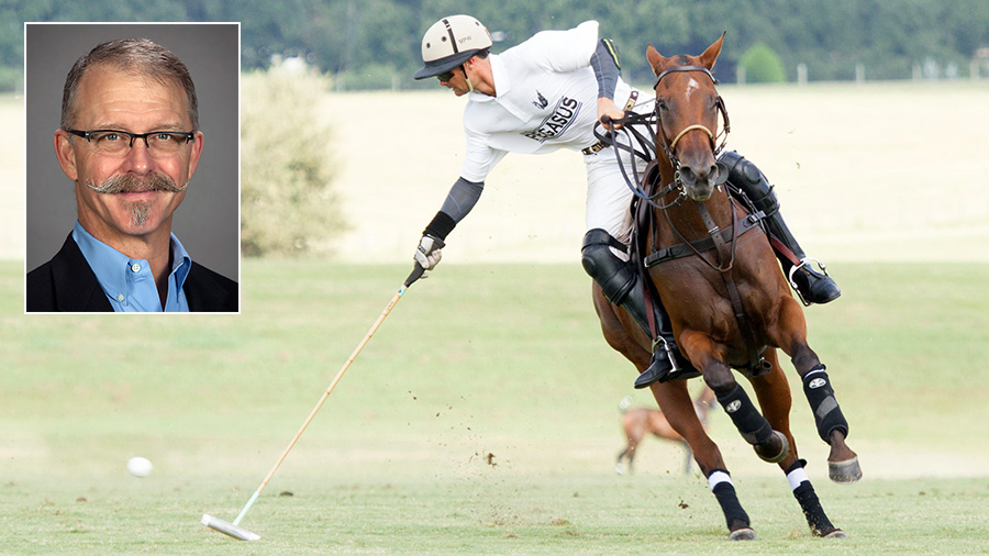 Jeff Watkins polo pony