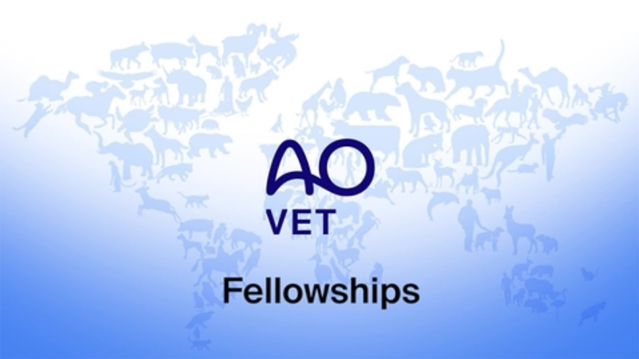 AO VET Fellowships