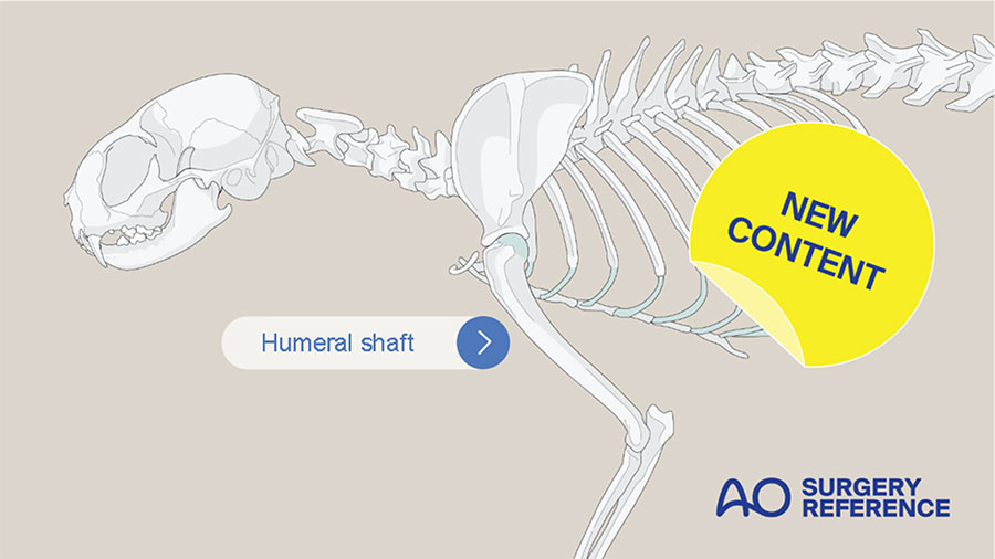 Cat humeral shaft, the latest addition to AO Surgery Reference is available