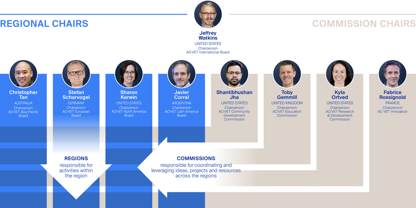 AO VET Governance