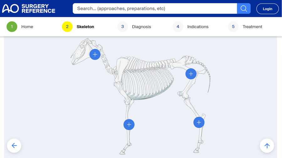 AO Surgery Reference: Horse