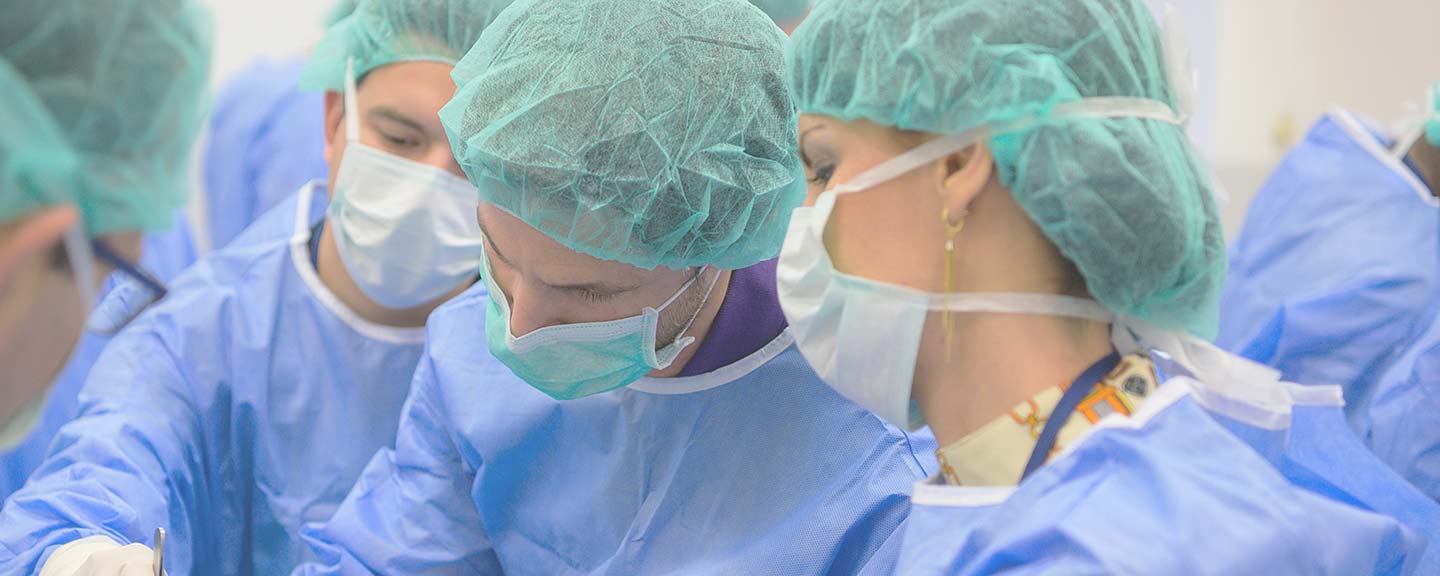 AO VET course Vet surgeon